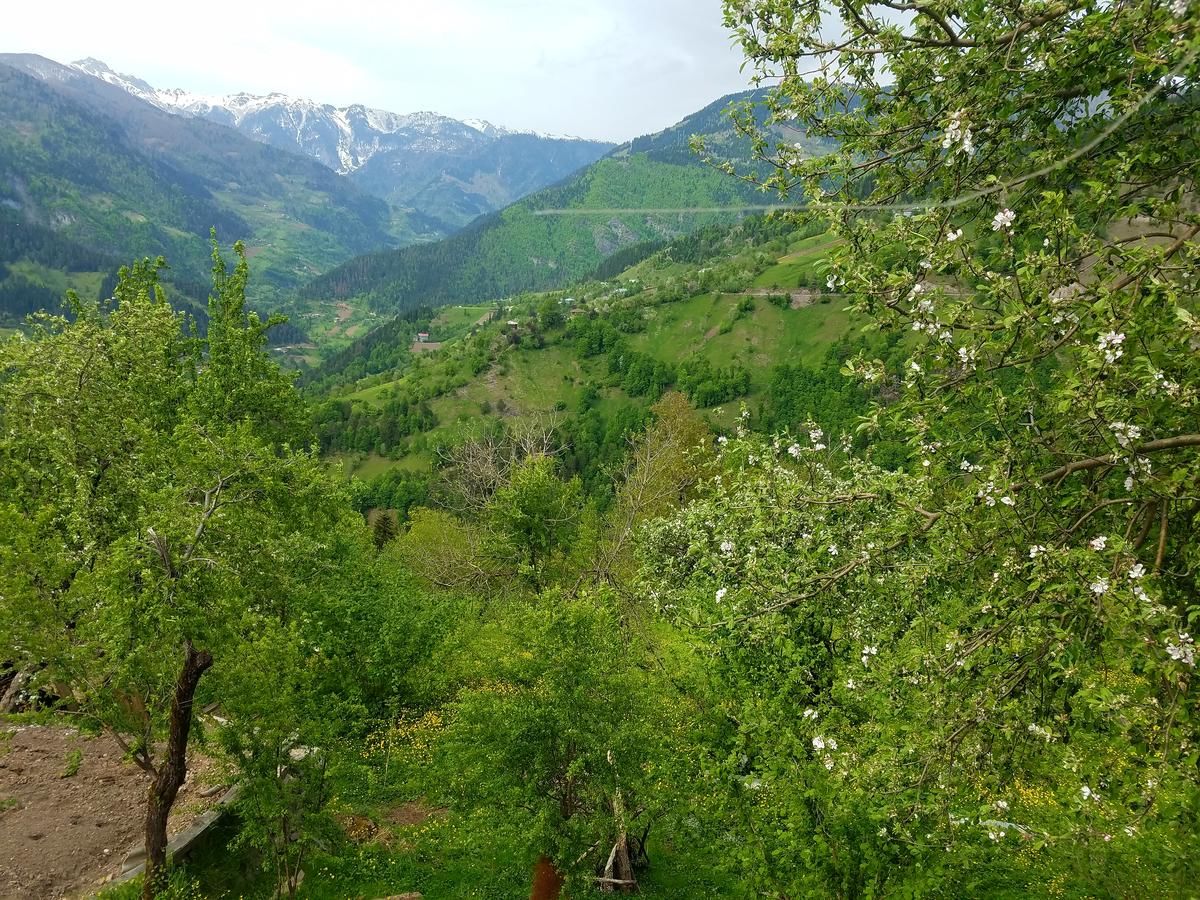 Дома для отпуска Luka House Akhaldaba
