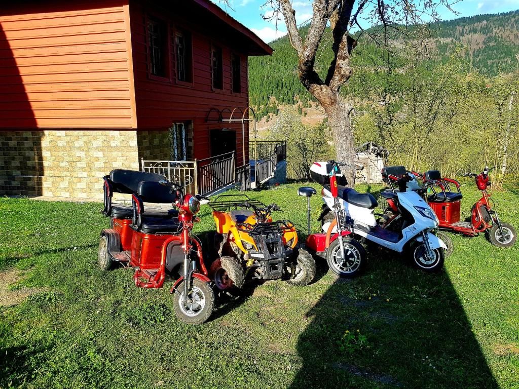 Дома для отпуска Luka House Akhaldaba